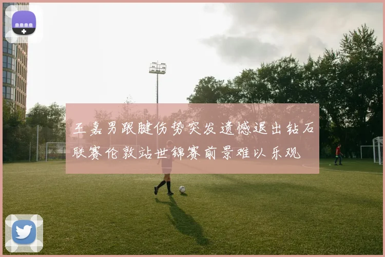 王嘉男跟腱伤势突发遗憾退出钻石联赛伦敦站世锦赛前景难以乐观