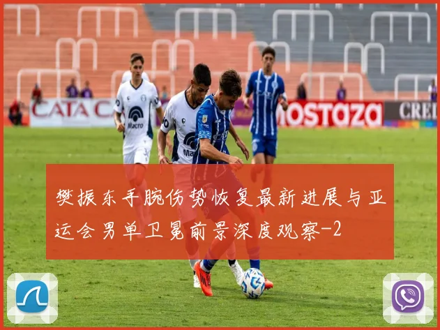 樊振东手腕伤势恢复最新进展与亚运会男单卫冕前景深度观察
